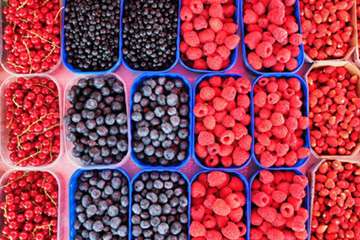 Antioxidants | Stefanie Senior Registered Dietitian