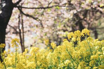 Registered Dietitian Toronto, Stefanie Senior